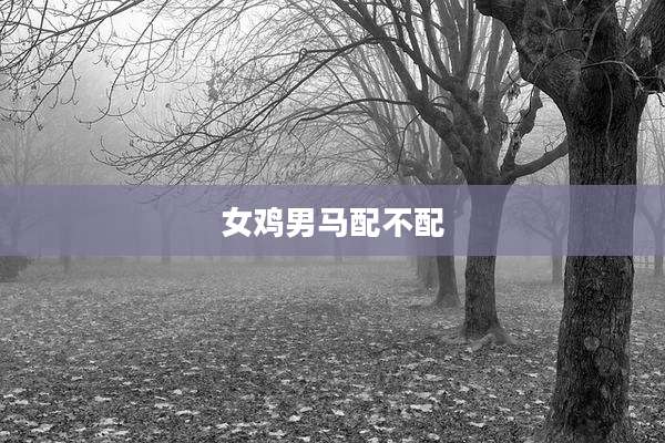 女鸡男马配不配