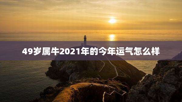 49岁属牛2021年的今年运气怎么样