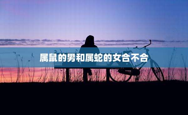 属鼠的男和属蛇的女合不合