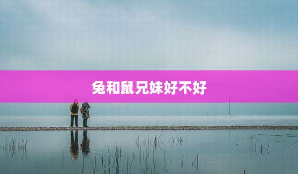 兔和鼠兄妹好不好