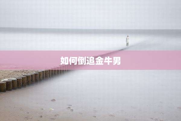 如何倒追金牛男