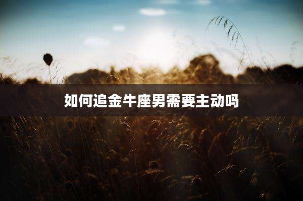 如何追金牛座男需要主动吗