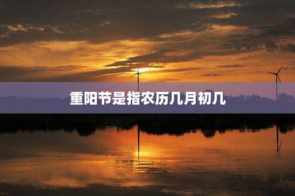 重阳节是指农历几月初几