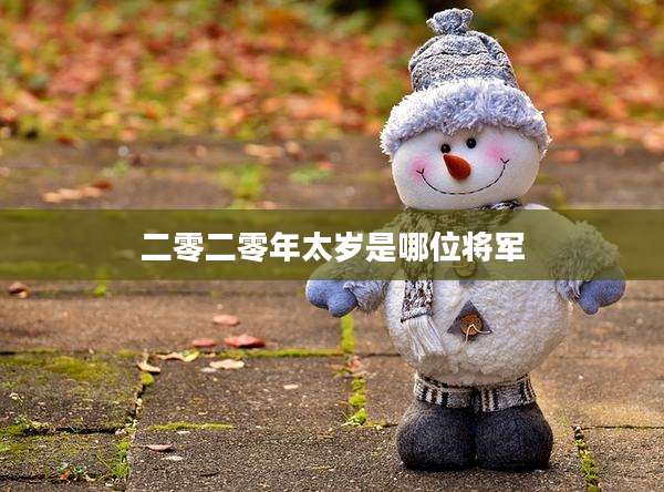 二零二零年太岁是哪位将军