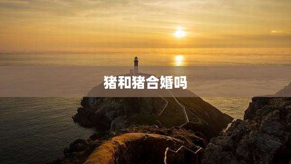 猪和猪合婚吗