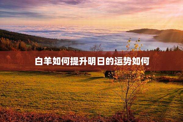 白羊如何提升明日的运势如何
