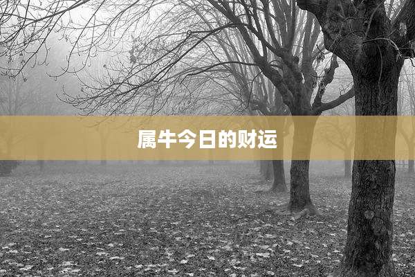 属牛今日的财运