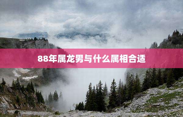 88年属龙男与什么属相合适
