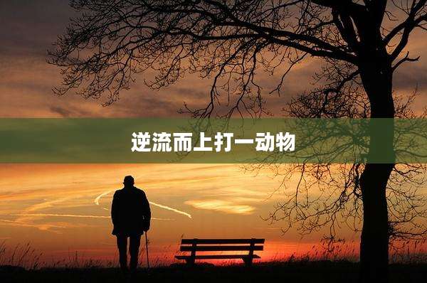 逆流而上打一动物
