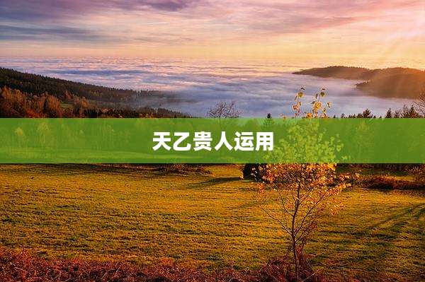 天乙贵人运用