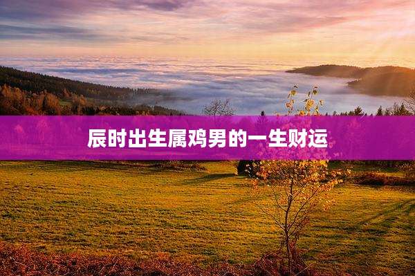 辰时出生属鸡男的一生财运
