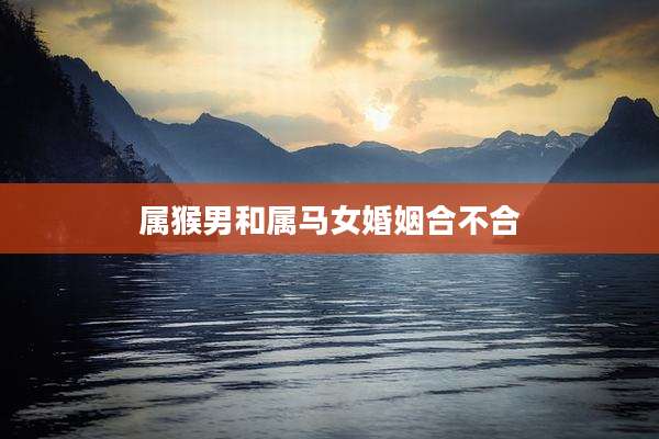 属猴男和属马女婚姻合不合