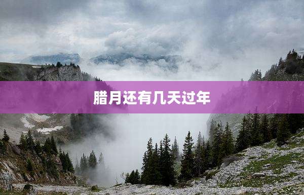 腊月还有几天过年