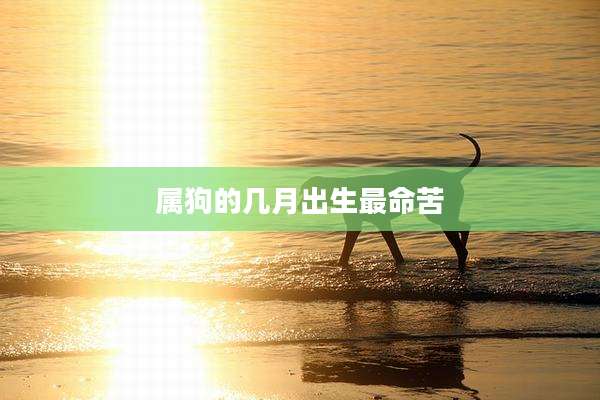 属狗的几月出生最命苦