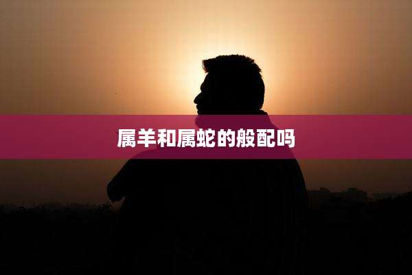 属羊和属蛇的般配吗