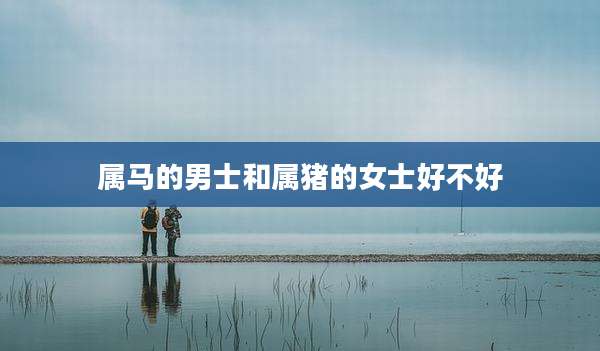属马的男士和属猪的女士好不好