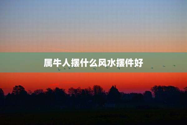 属牛人摆什么风水摆件好