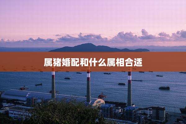 属猪婚配和什么属相合适