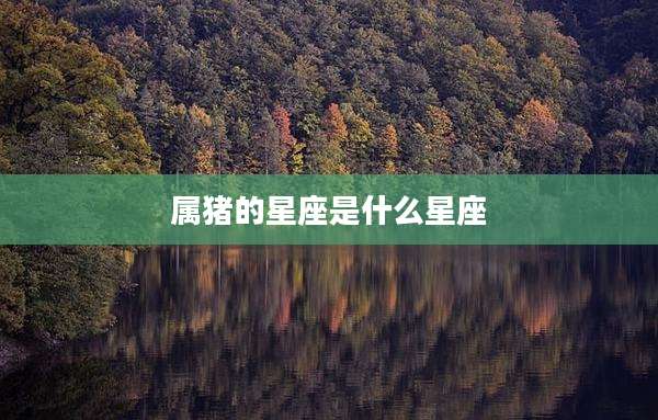 属猪的星座是什么星座