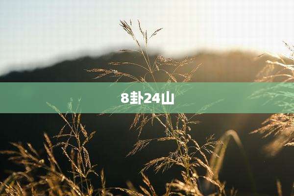 8卦24山