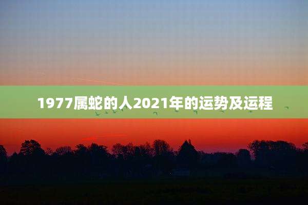 1977属蛇的人2021年的运势及运程