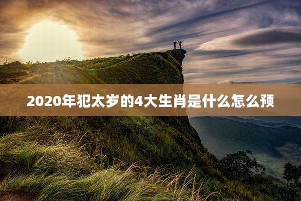 2020年犯太岁的4大生肖是什么怎么预