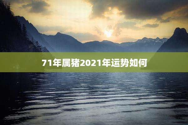 71年属猪2021年运势如何