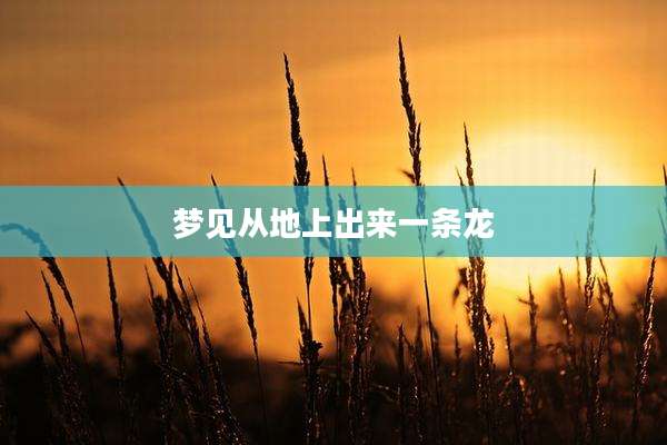 梦见从地上出来一条龙