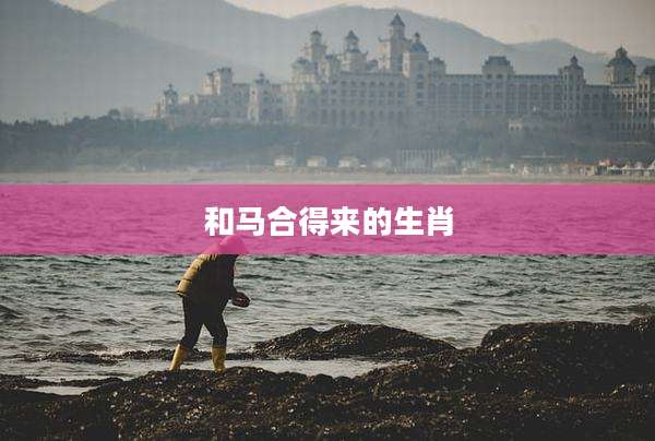 和马合得来的生肖