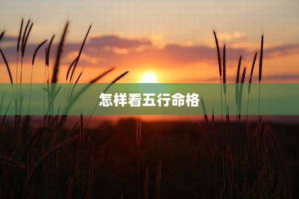 怎样看五行命格
