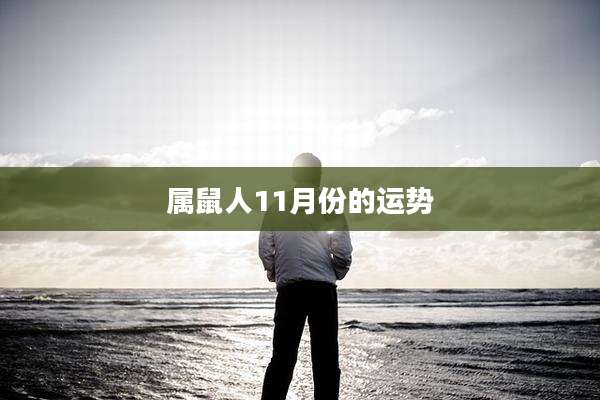 属鼠人11月份的运势