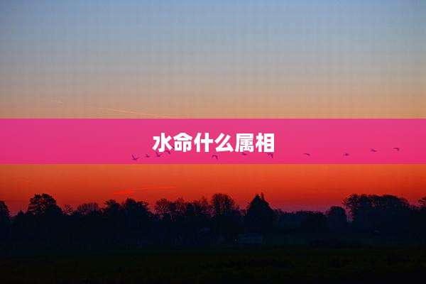 水命什么属相