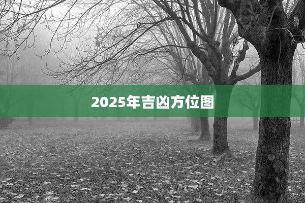 2025年吉凶方位图