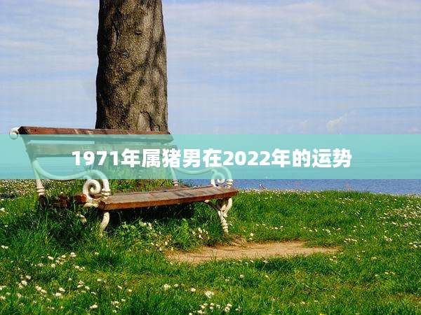 1971年属猪男在2022年的运势