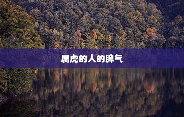 属虎的人的脾气