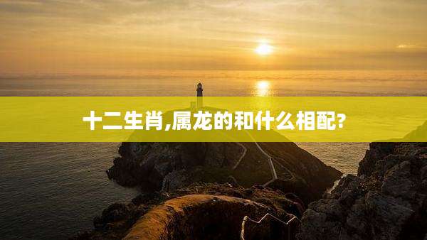 十二生肖,属龙的和什么相配?