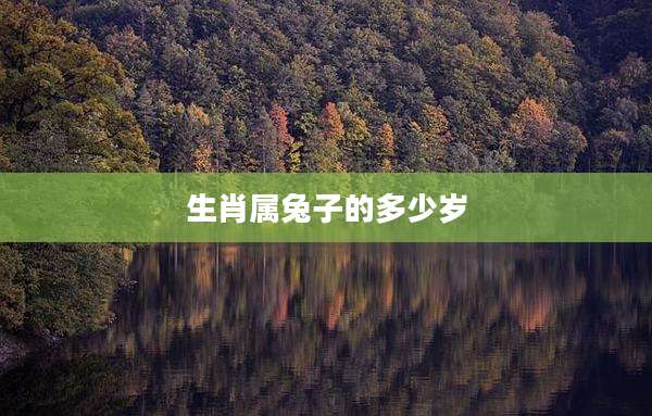 生肖属兔子的多少岁
