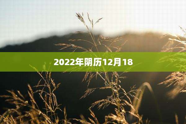 2022年阴历12月18