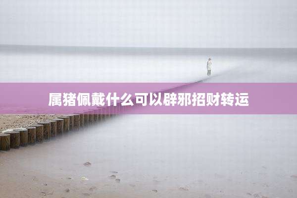 属猪佩戴什么可以辟邪招财转运