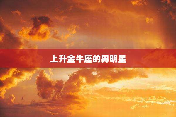 上升金牛座的男明星