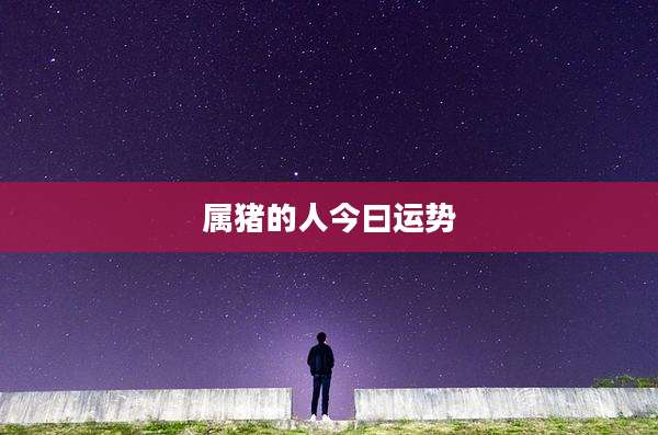 属猪的人今曰运势