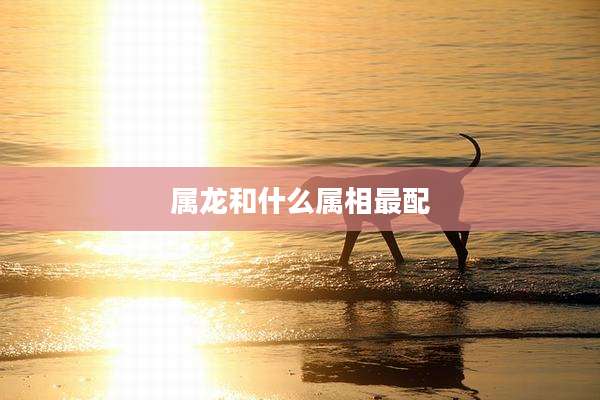 属龙和什么属相最配