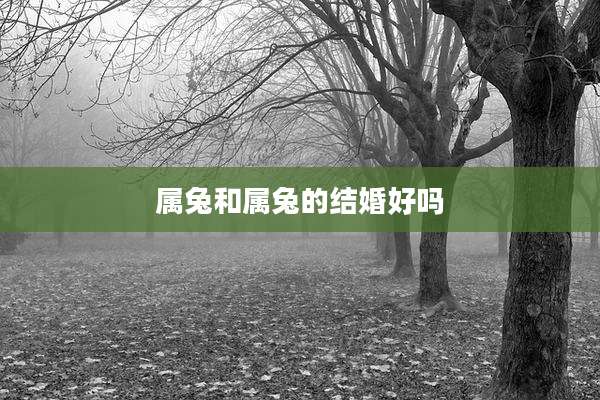 属兔和属兔的结婚好吗