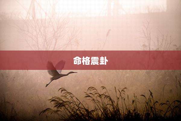 命格震卦
