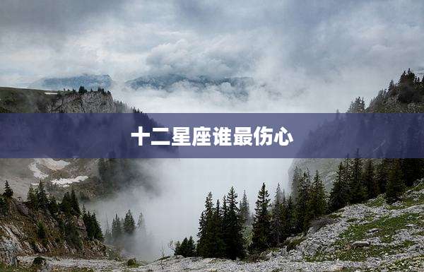 十二星座谁最伤心