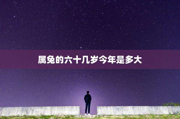 属兔的六十几岁今年是多大