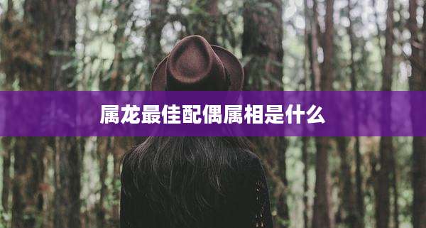 属龙最佳配偶属相是什么