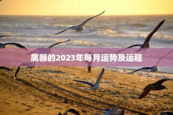 属猴的2023年每月运势及运程