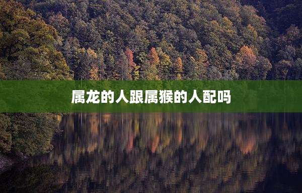 属龙的人跟属猴的人配吗