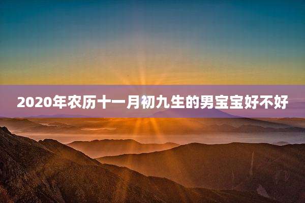 2020年农历十一月初九生的男宝宝好不好